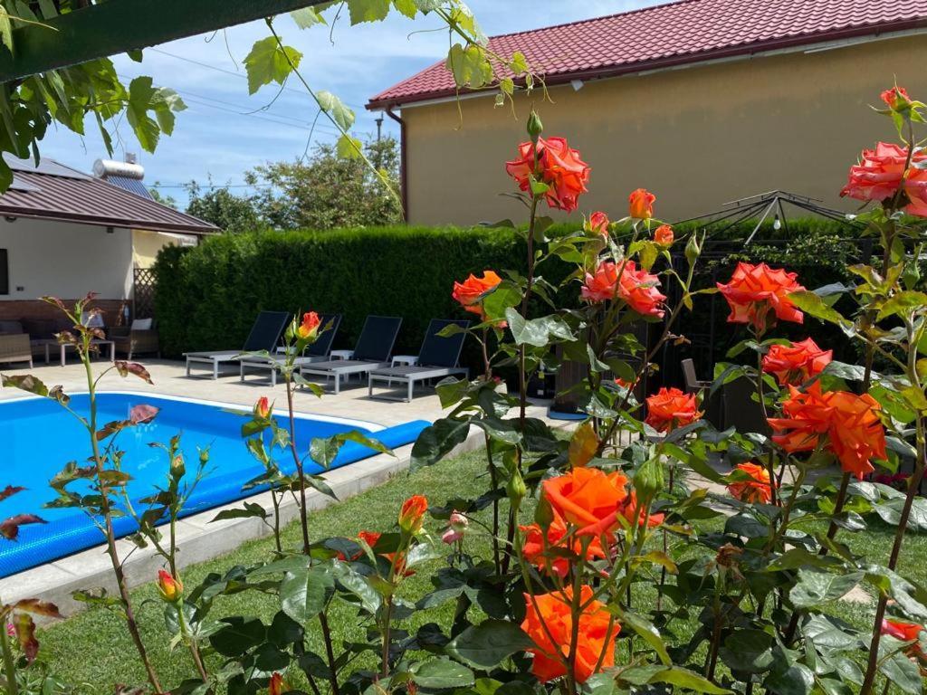 Casa Mateiana Otel Eforie Nord Dış mekan fotoğraf