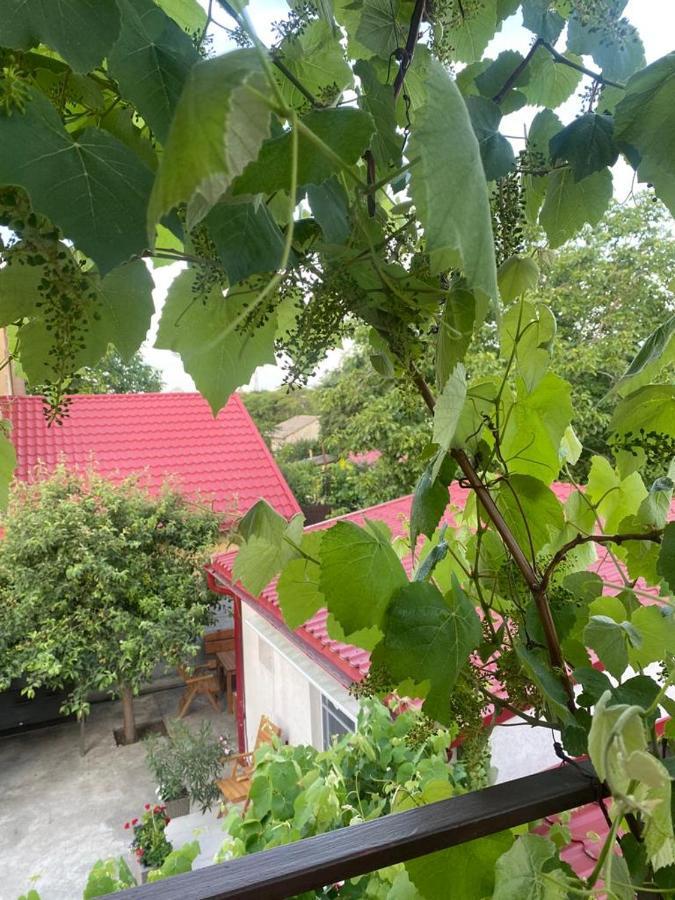 Casa Mateiana Otel Eforie Nord Dış mekan fotoğraf